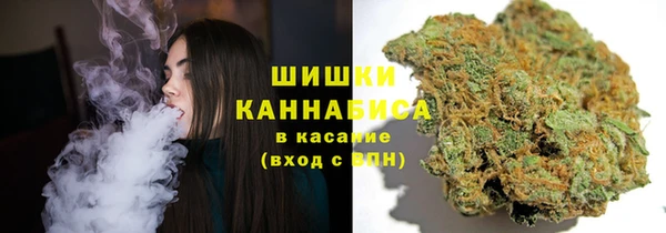 PSILOCYBIN Вязники