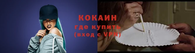 PSILOCYBIN Вязники