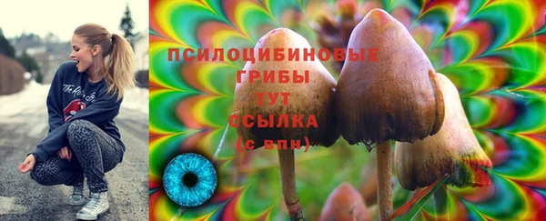 PSILOCYBIN Вязники