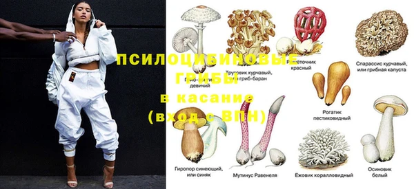 ALPHA PVP Вяземский