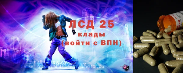 бошки Вязьма