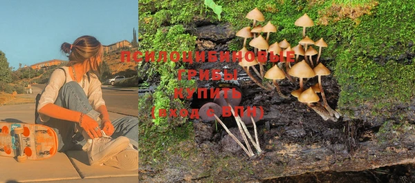 PSILOCYBIN Вязники